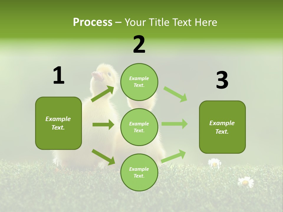 Looking Baby Fragile PowerPoint Template