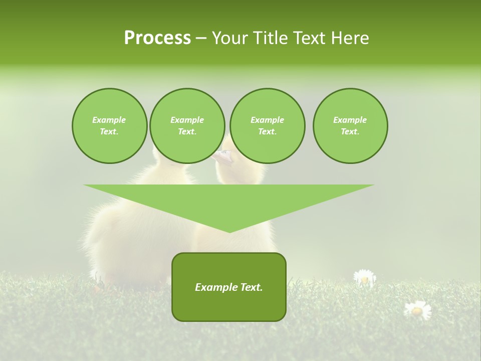 Looking Baby Fragile PowerPoint Template