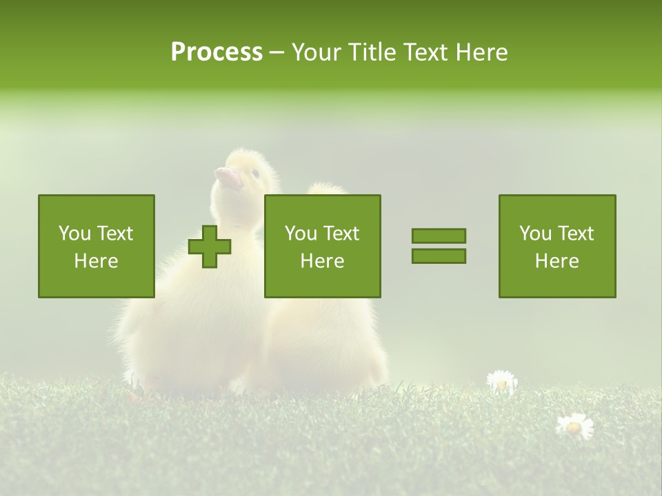Looking Baby Fragile PowerPoint Template