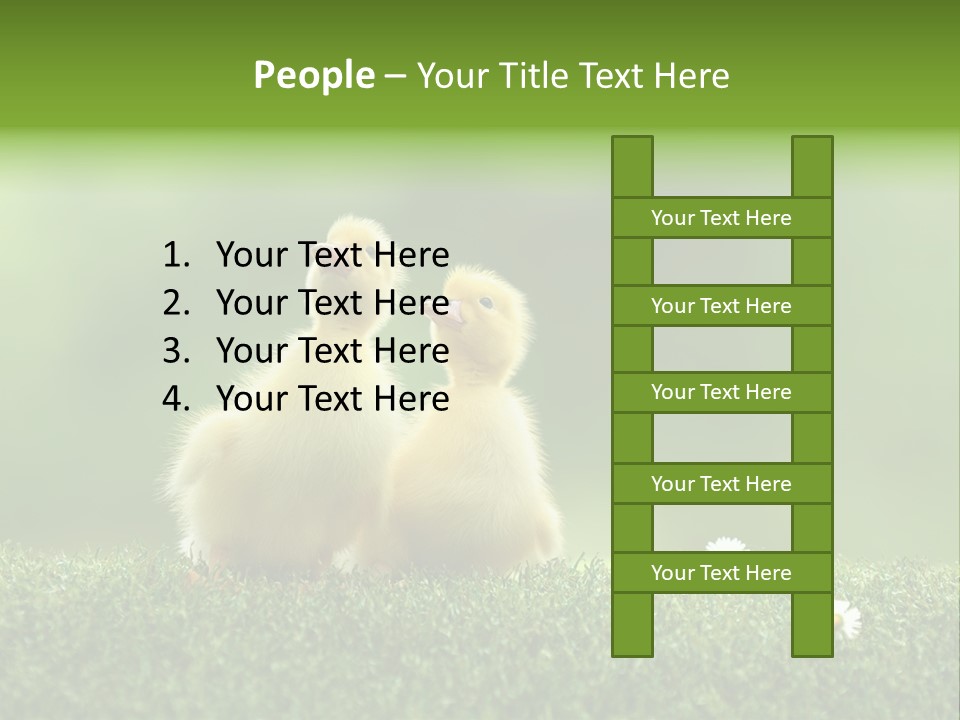 Looking Baby Fragile PowerPoint Template