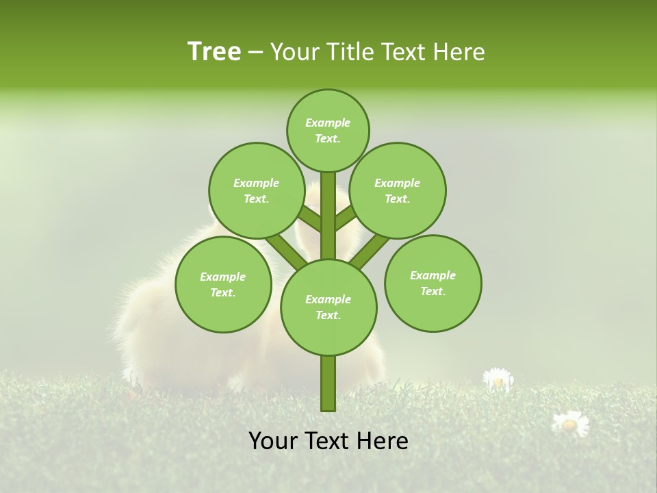 Looking Baby Fragile PowerPoint Template