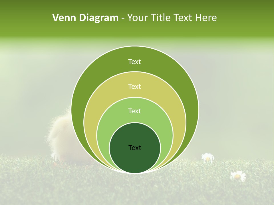 Looking Baby Fragile PowerPoint Template