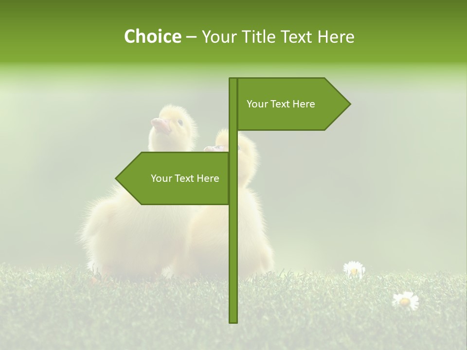 Looking Baby Fragile PowerPoint Template