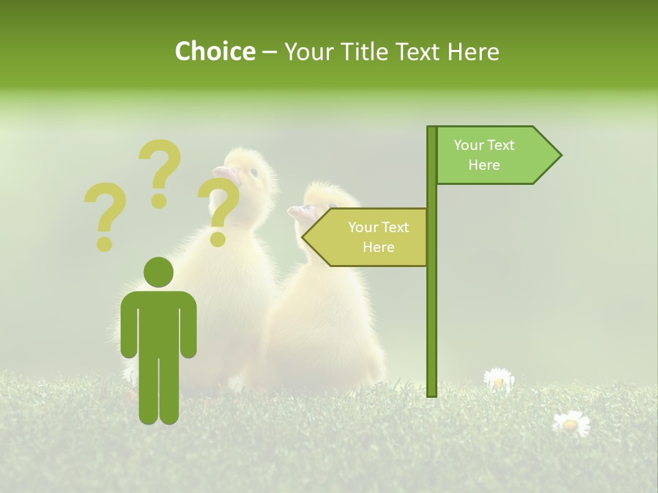 Looking Baby Fragile PowerPoint Template