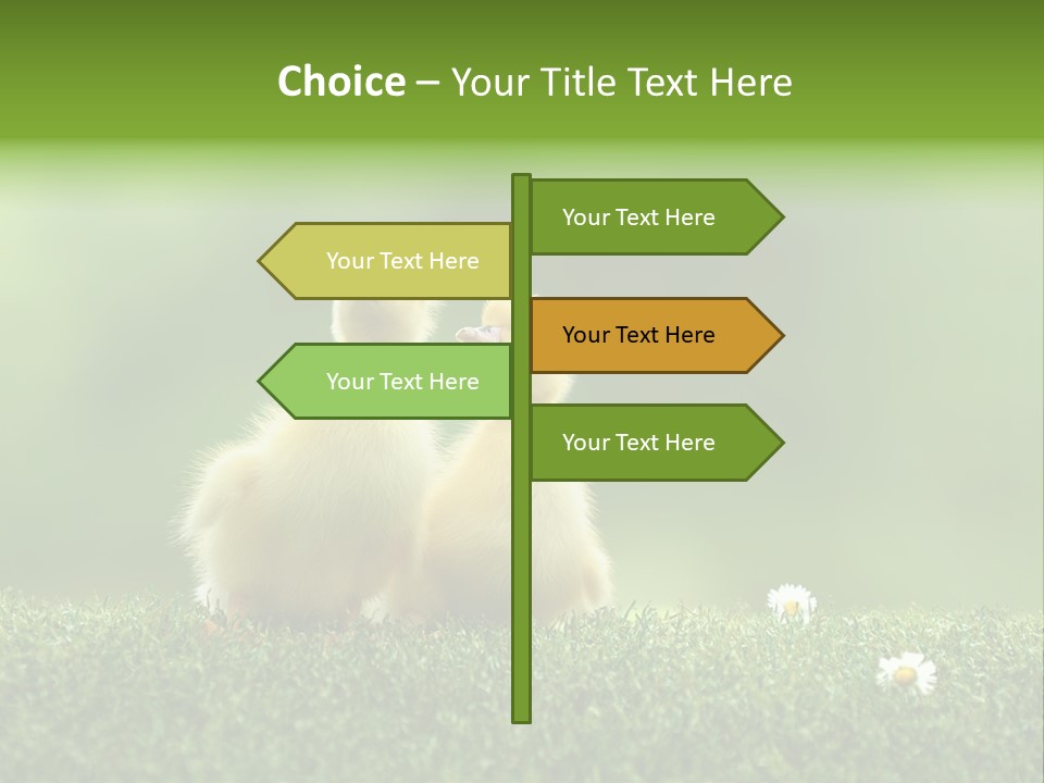 Looking Baby Fragile PowerPoint Template