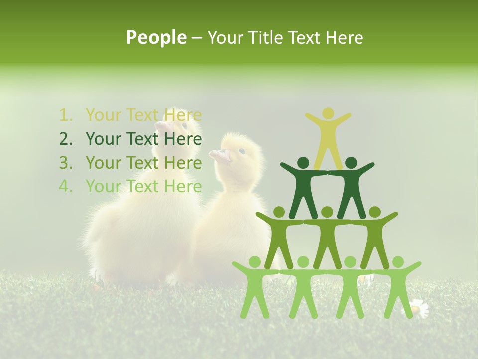 Looking Baby Fragile PowerPoint Template