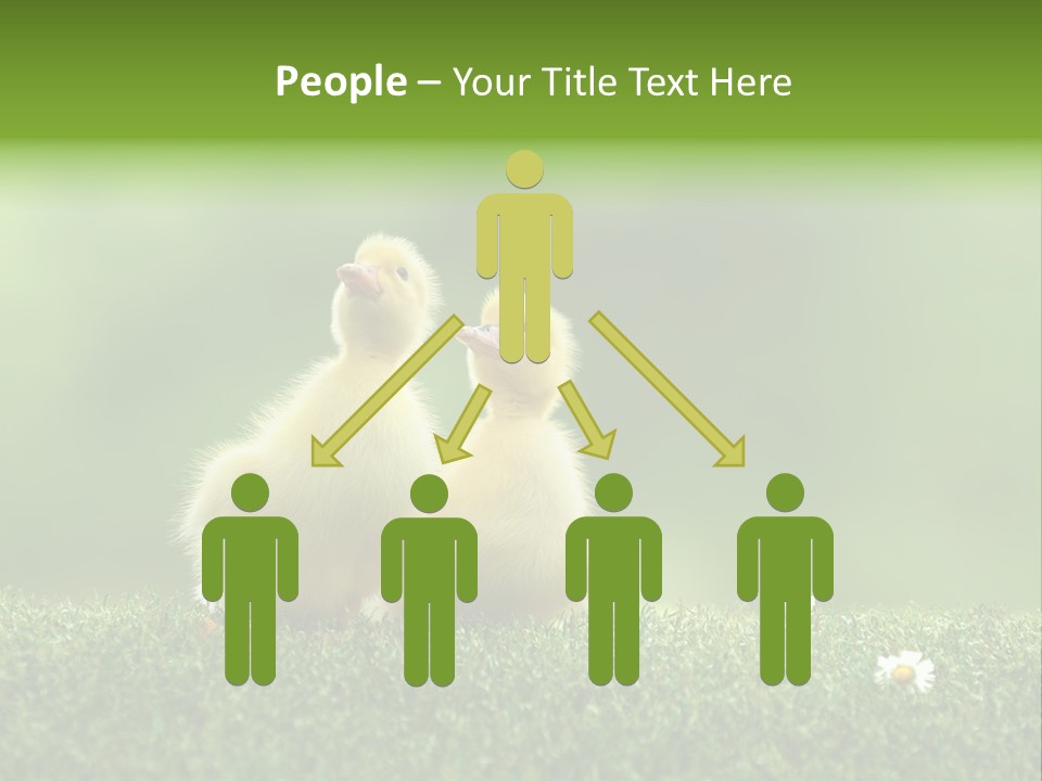 Looking Baby Fragile PowerPoint Template