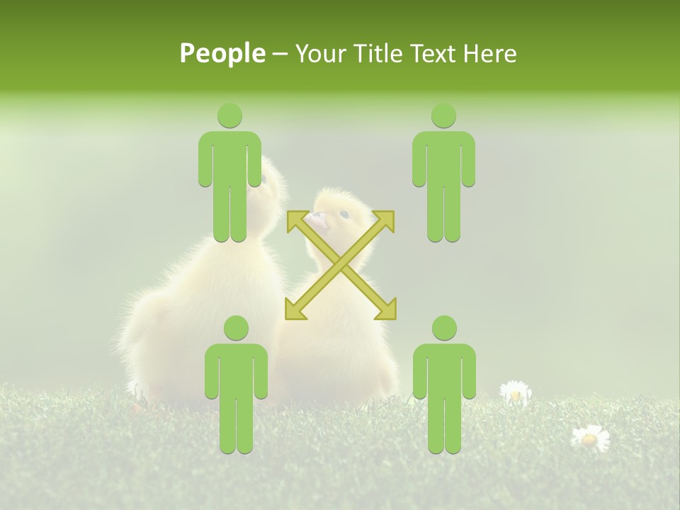 Looking Baby Fragile PowerPoint Template