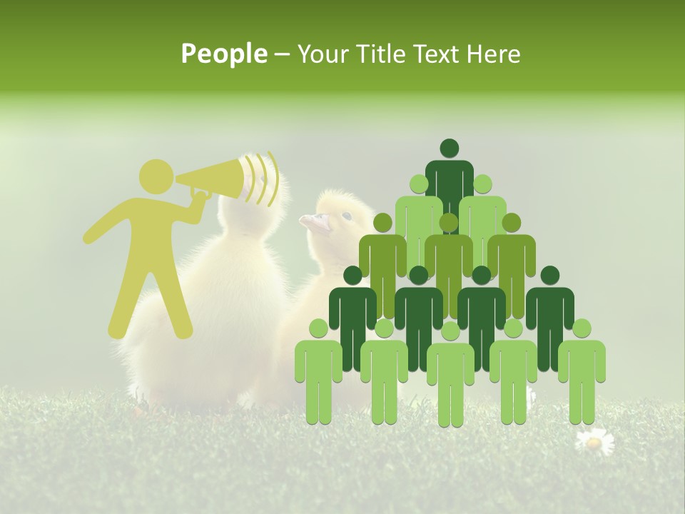 Looking Baby Fragile PowerPoint Template