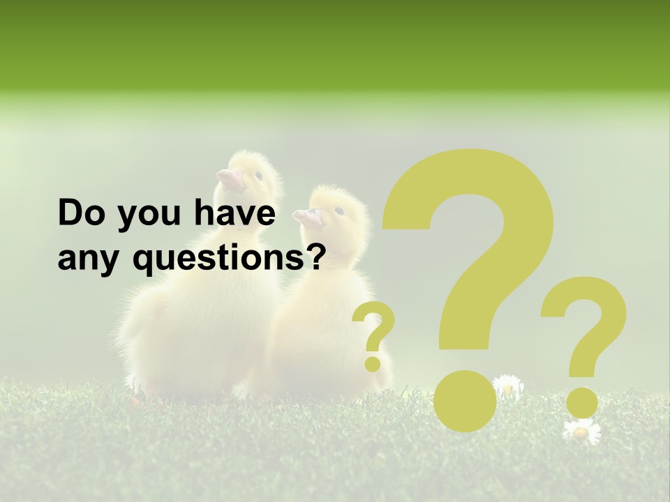 Looking Baby Fragile PowerPoint Template