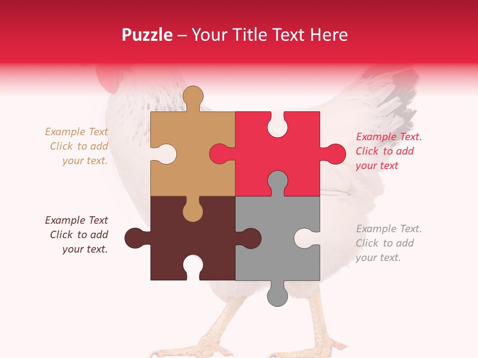 Poultry Real Isolated PowerPoint Template