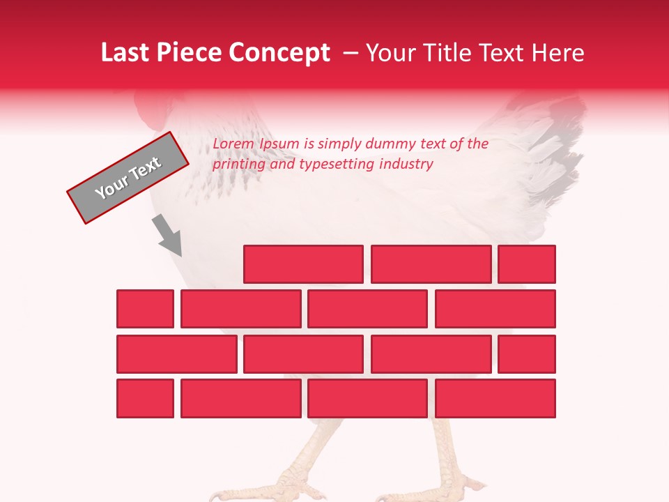 Poultry Real Isolated PowerPoint Template