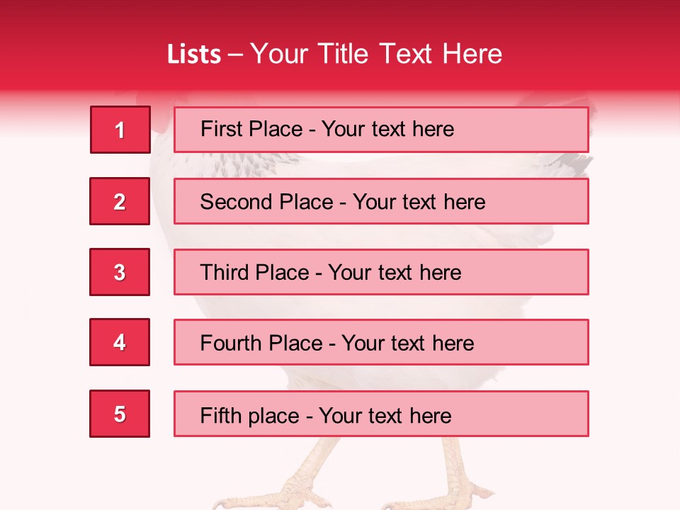 Poultry Real Isolated PowerPoint Template