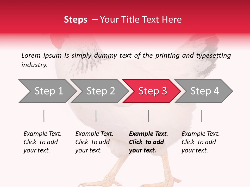 Poultry Real Isolated PowerPoint Template