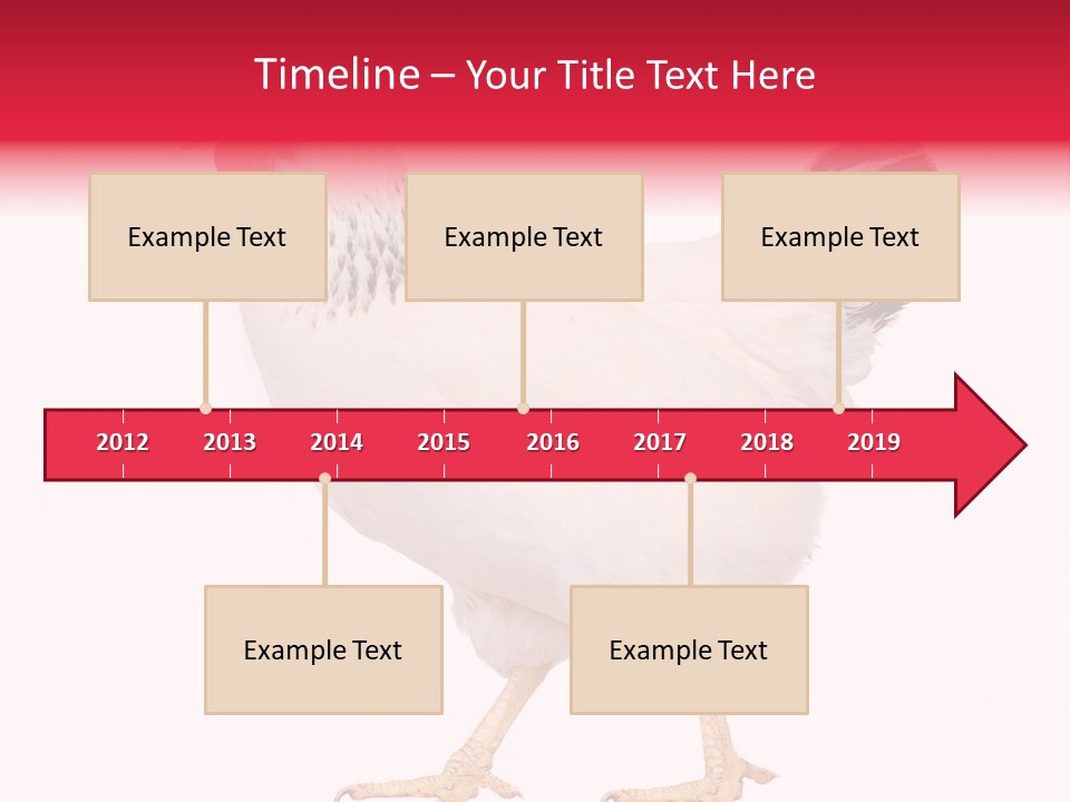 Poultry Real Isolated PowerPoint Template