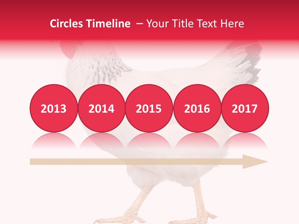 Poultry Real Isolated PowerPoint Template