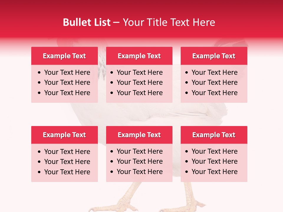 Poultry Real Isolated PowerPoint Template