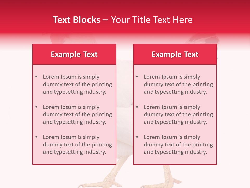 Poultry Real Isolated PowerPoint Template