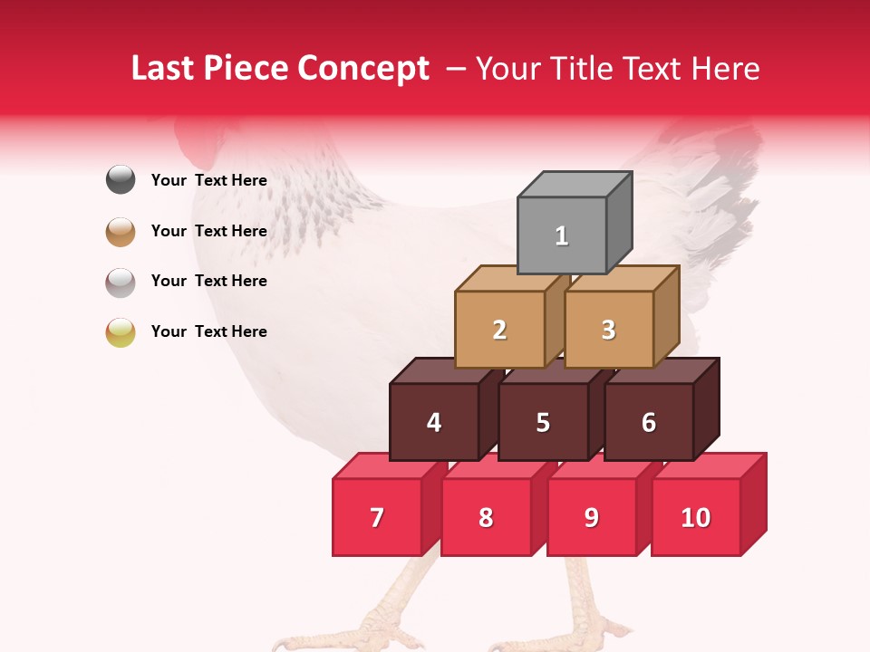 Poultry Real Isolated PowerPoint Template