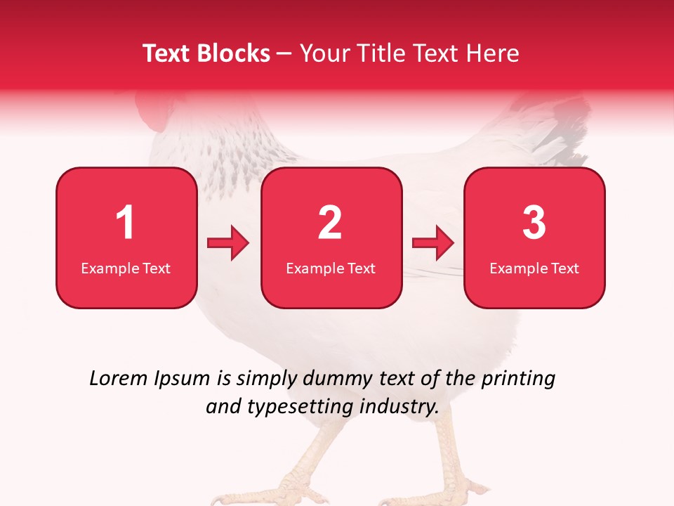 Poultry Real Isolated PowerPoint Template