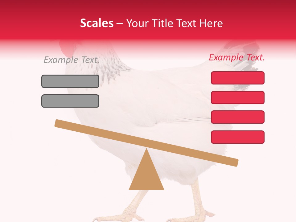 Poultry Real Isolated PowerPoint Template