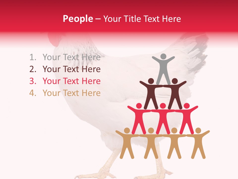 Poultry Real Isolated PowerPoint Template
