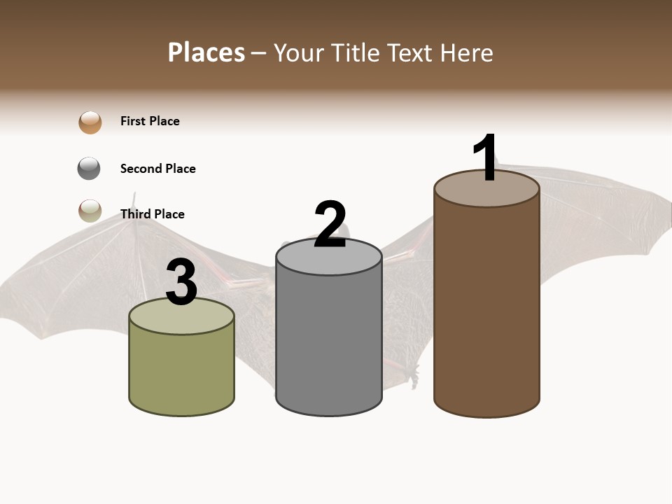 Rattle Mouse Chap One PowerPoint Template