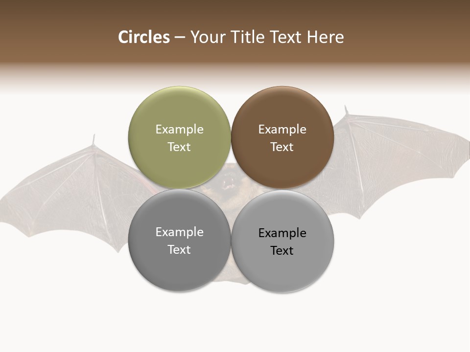 Rattle Mouse Chap One PowerPoint Template