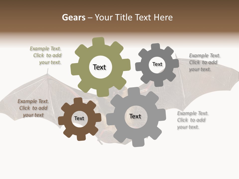 Rattle Mouse Chap One PowerPoint Template