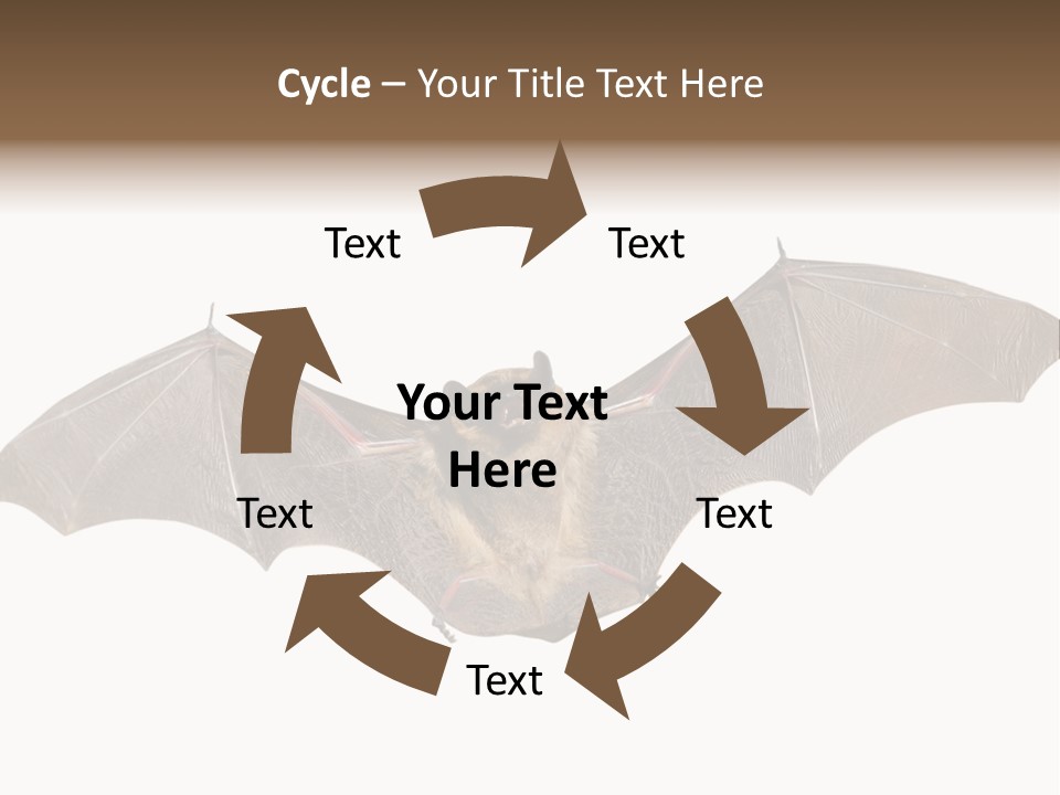 Rattle Mouse Chap One PowerPoint Template