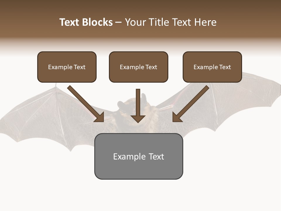 Rattle Mouse Chap One PowerPoint Template