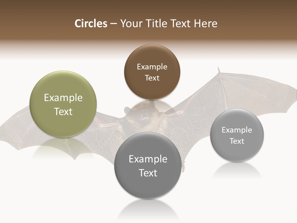 Rattle Mouse Chap One PowerPoint Template