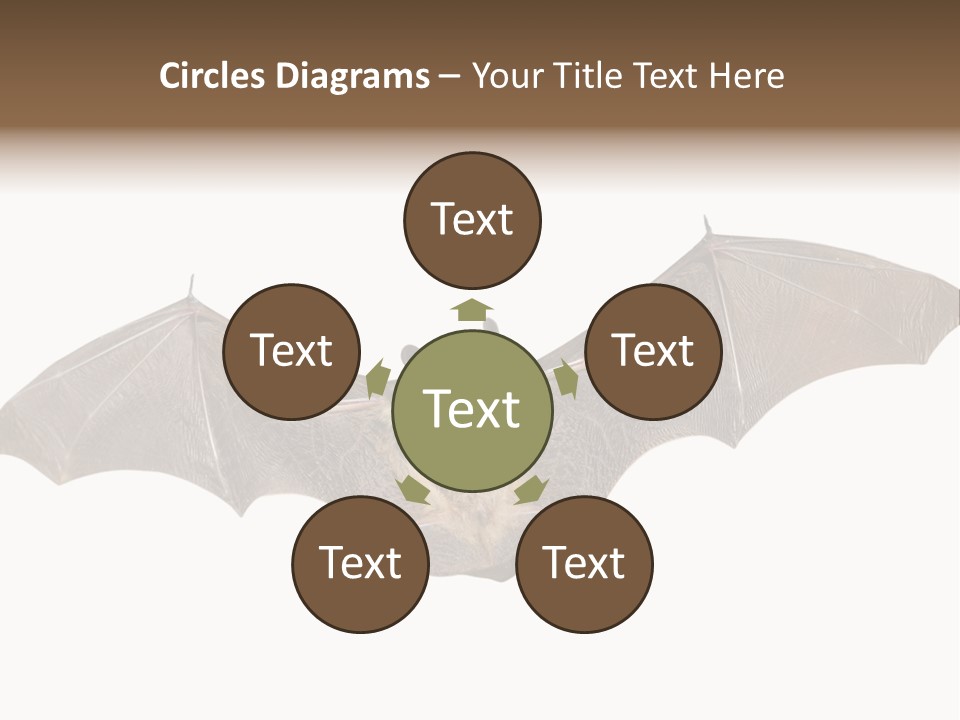 Rattle Mouse Chap One PowerPoint Template