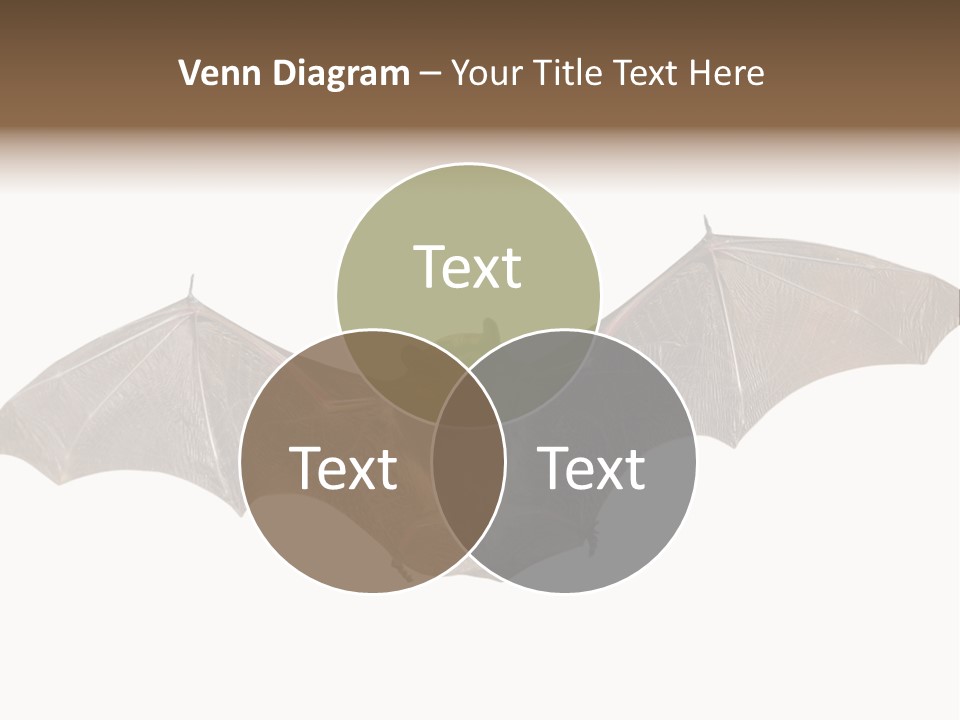 Rattle Mouse Chap One PowerPoint Template