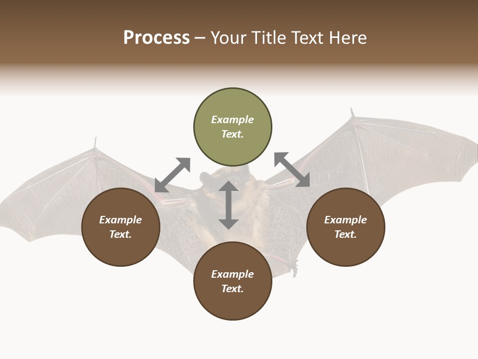 Rattle Mouse Chap One PowerPoint Template