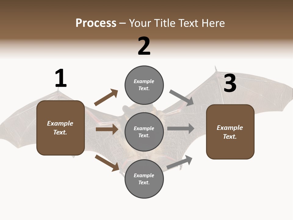 Rattle Mouse Chap One PowerPoint Template