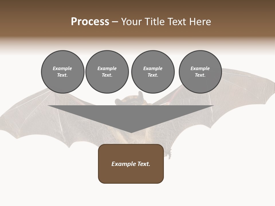 Rattle Mouse Chap One PowerPoint Template