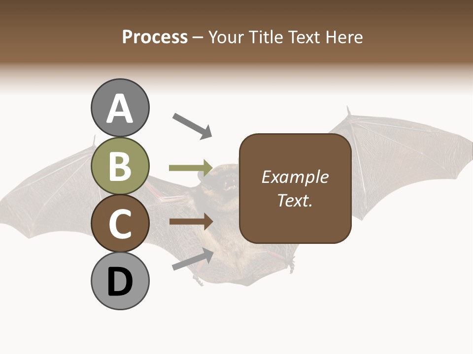 Rattle Mouse Chap One PowerPoint Template