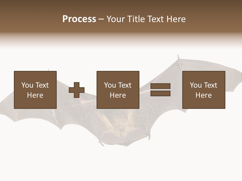 Rattle Mouse Chap One PowerPoint Template