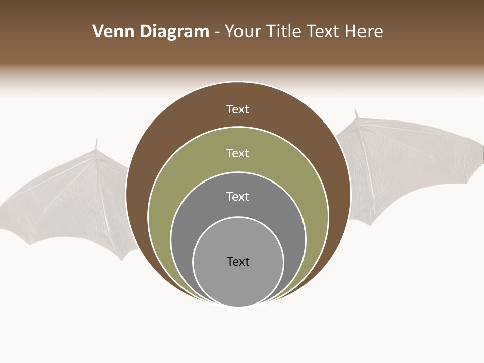 Rattle Mouse Chap One PowerPoint Template