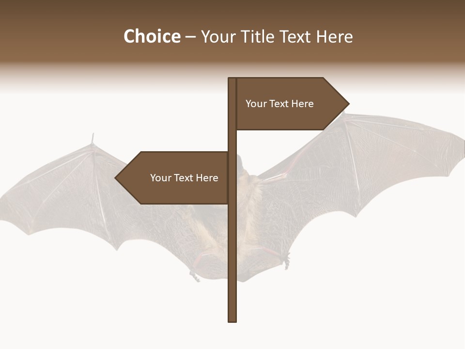 Rattle Mouse Chap One PowerPoint Template