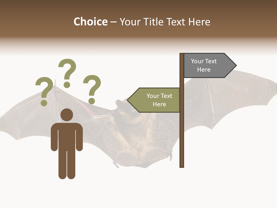 Rattle Mouse Chap One PowerPoint Template