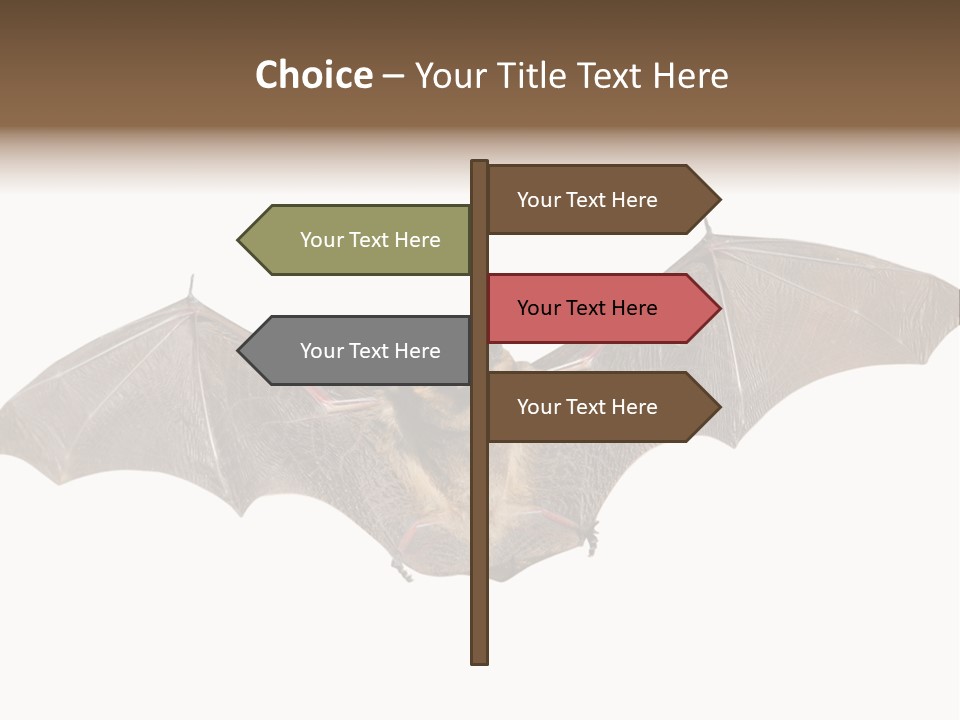 Rattle Mouse Chap One PowerPoint Template