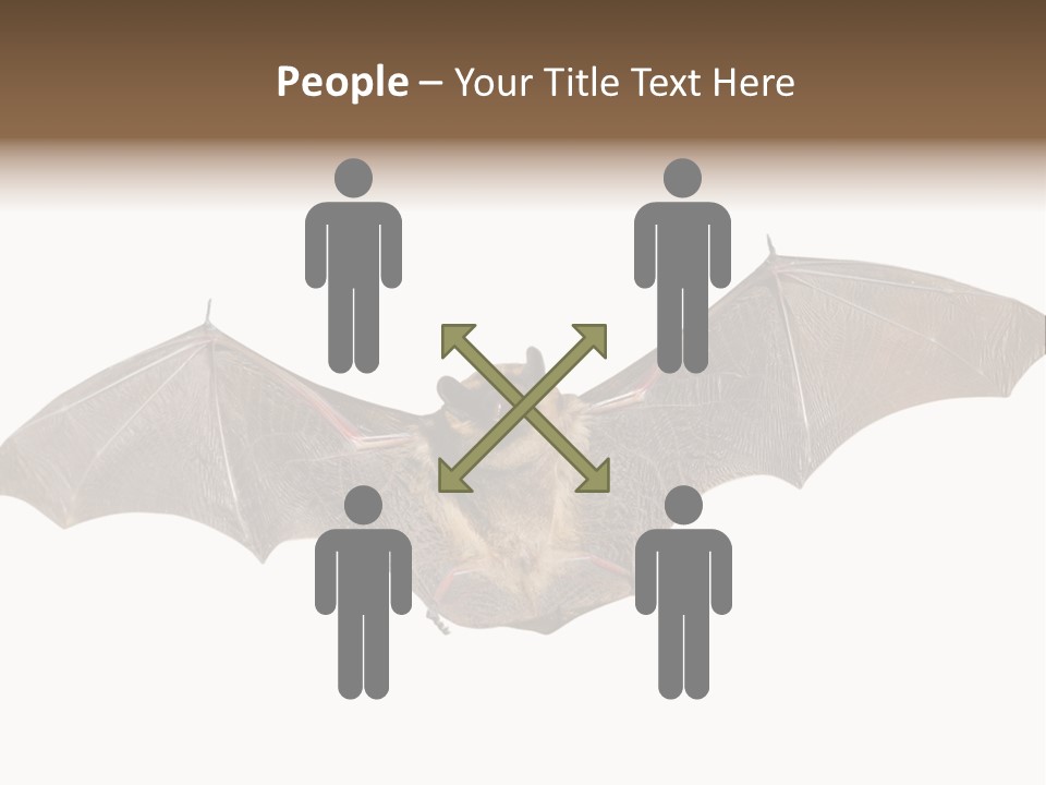 Rattle Mouse Chap One PowerPoint Template