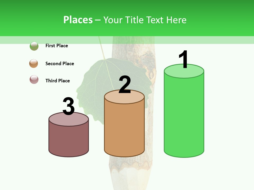 Leaves Drawing Green PowerPoint Template