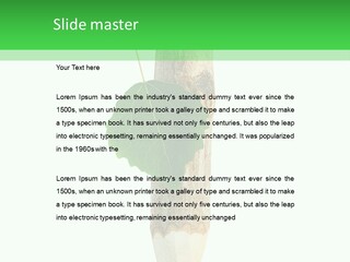 Leaves Drawing Green PowerPoint Template
