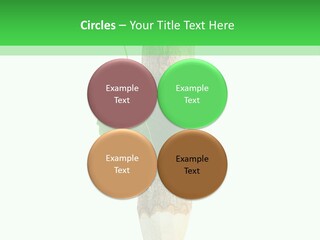 Leaves Drawing Green PowerPoint Template