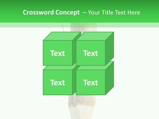 Leaves Drawing Green PowerPoint Template