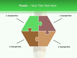 Leaves Drawing Green PowerPoint Template