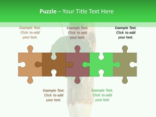 Leaves Drawing Green PowerPoint Template